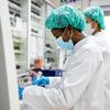 <![CDATA[ Investigadores descobrem que gordura favorece progressão do cancro do estômago ]]>