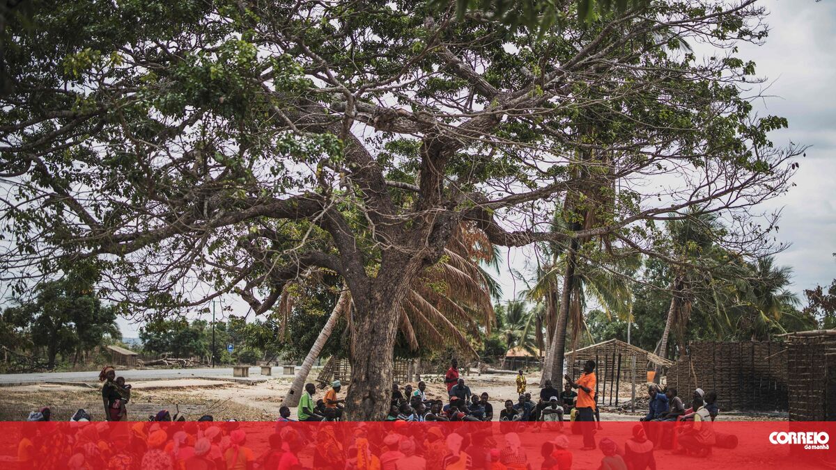 Russia hands over materials to displaced children in Cabo Delgado
