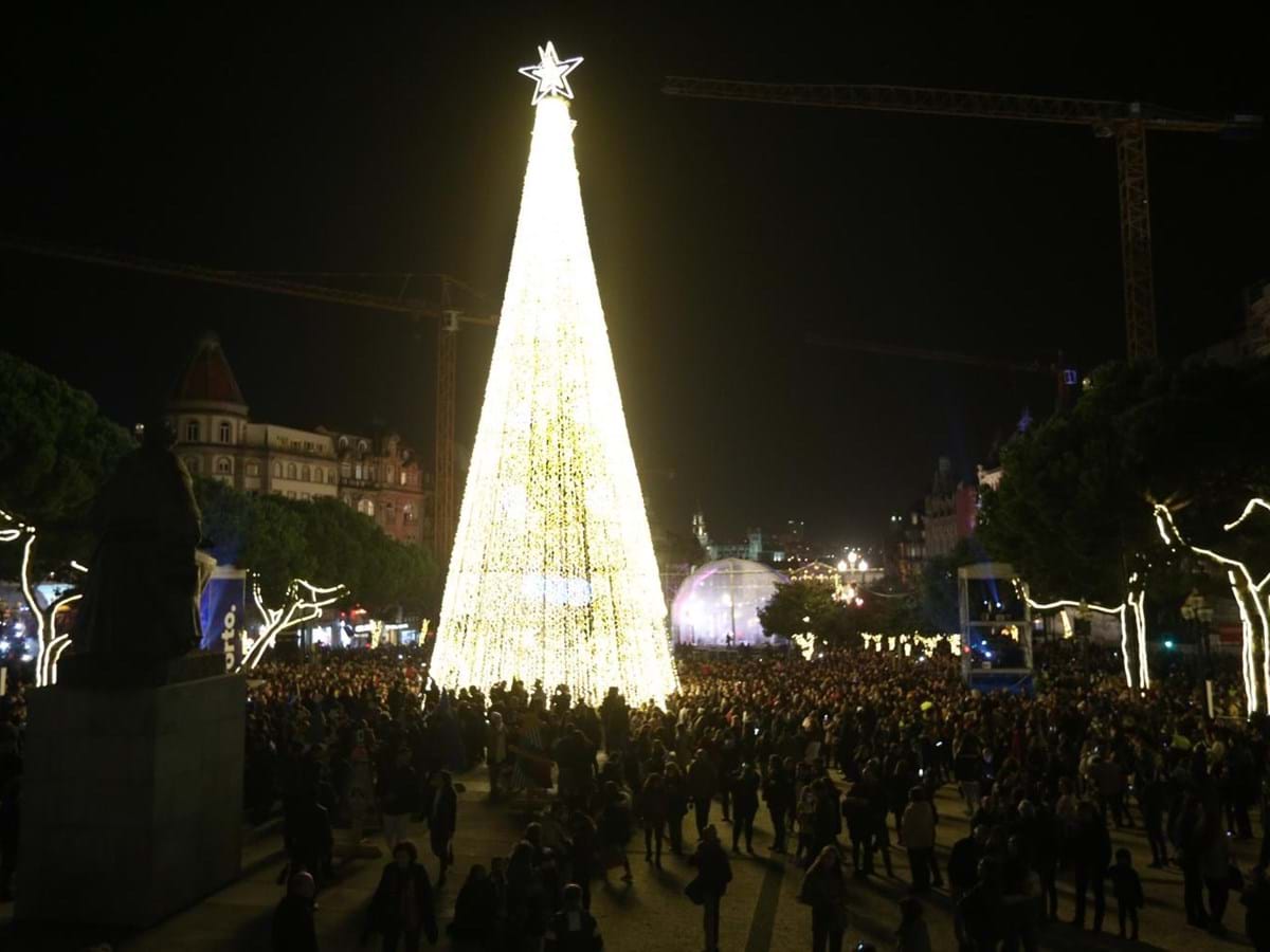 Porto volta a ter árvore de Natal gigante com 34 metros de altura -  Sociedade - Correio da Manhã