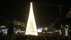 Porto volta a ter árvore de Natal gigante com 34 metros de altura