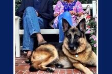 Joe Biden, mulher, Jill e Champ