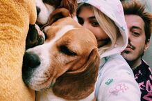 2020-11-10_10_51_27 Bárbara Bandeira, o namorado Kasha e os seus patudos.jpg