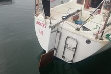 Veleiro francês foi abalroado por orcas ao largo de Sines