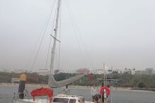 Veleiro francês foi abalroado por orcas ao largo de Sines