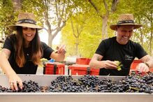 Maniche aventurou-se no mundo dos vinhos