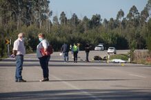 Imagem RAL_4222.JPG (7917203) (Milenium)