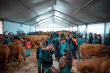 2020-11-24_19_06_33 DSCF3555.jpg