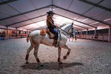 2020-11-24_19_09_46 Cavalo_20112019-DSCF2075.jpg