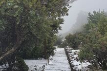 Neve pinta ilha da Madeira de branco
