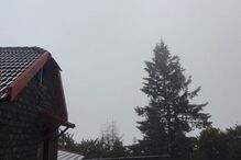 Neve pinta ilha da Madeira de branco