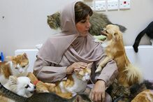 Mulher vive com 480 gatos e 12 cães