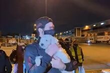 Associação salvou 34 cachorros