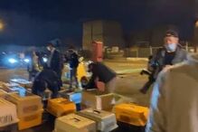 Associação salvou 34 cachorros