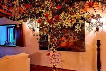 A árvore do Monte de Manuel Luís Goucha