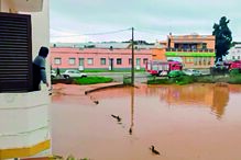 Imagem Abertura 37176556.jpg (8026735) (Milenium)