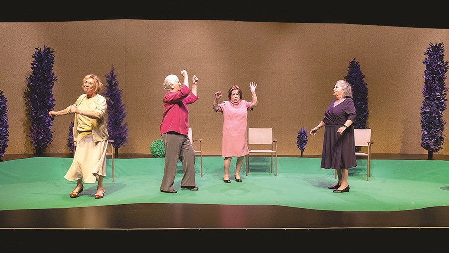 Elenco da peça é composto por Maria Emília Correia, Lídia Franco, Catarina Avelar e Márcia Breia 