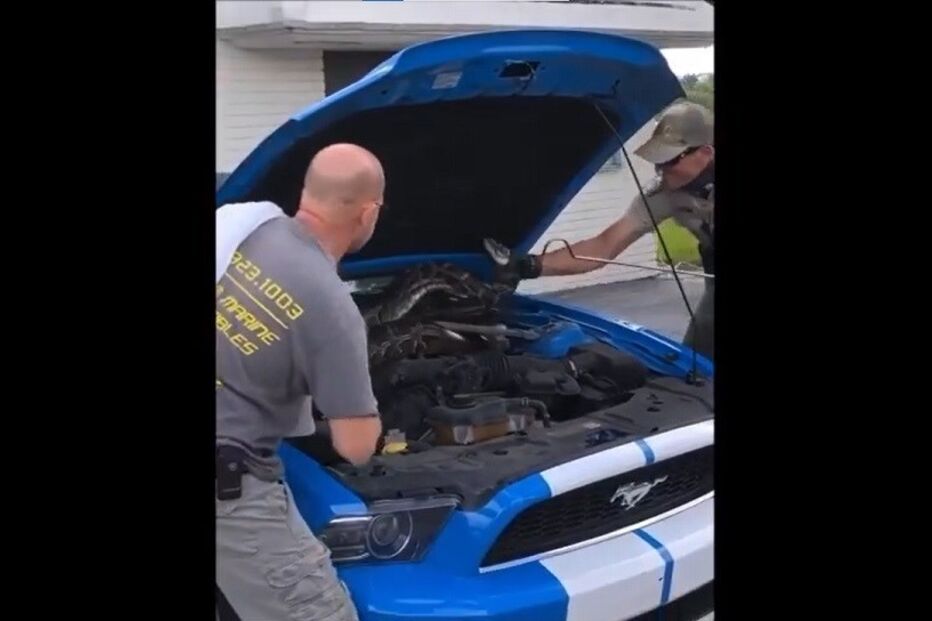 2020-11-06_21_52_04 susto.jpg