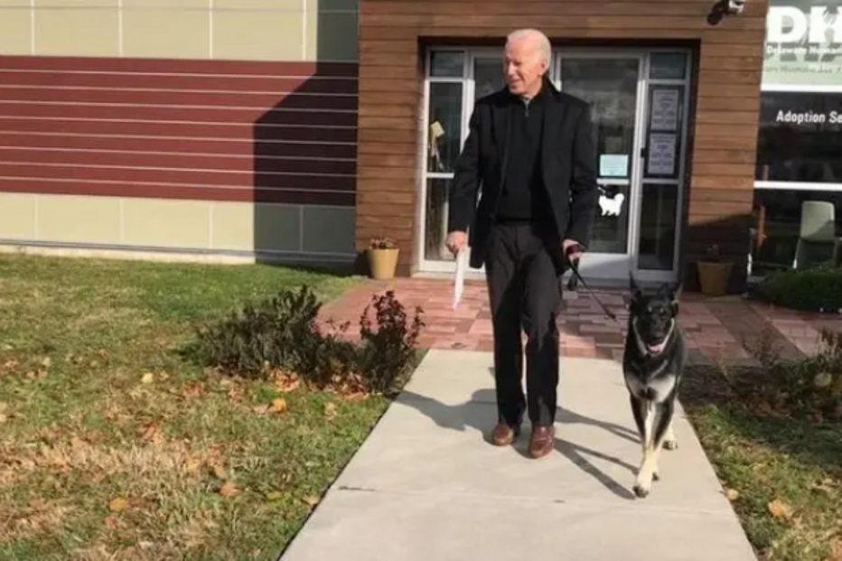 'Major' é um dos cães de Biden. Foi adotado num abrigo animal