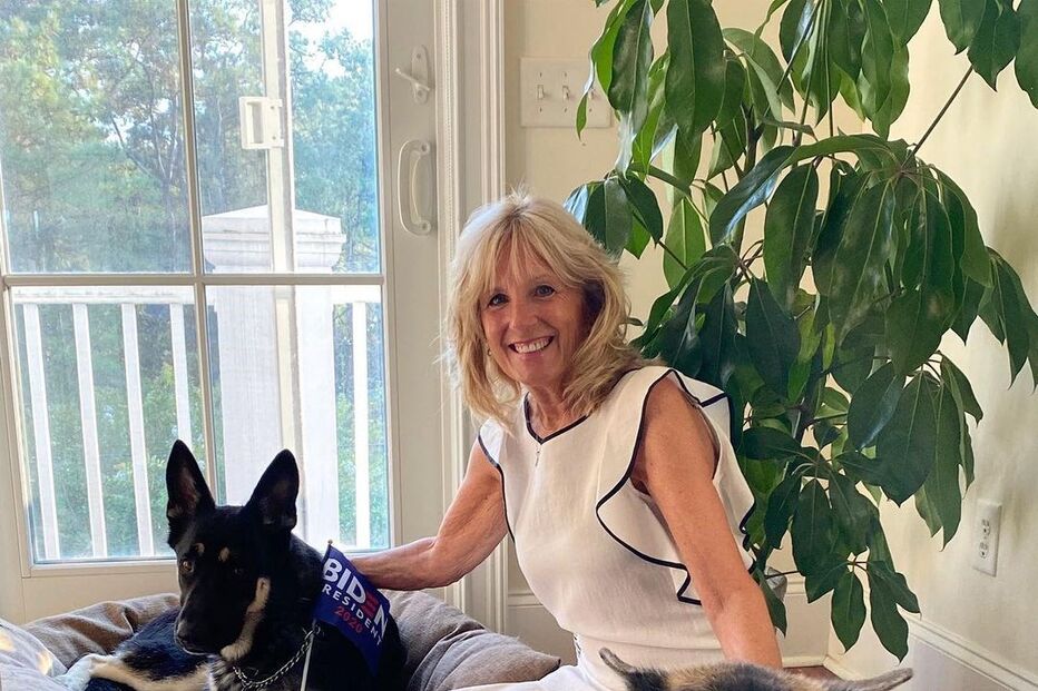 A mulher de Joe Biden, Jill e os cães do casal