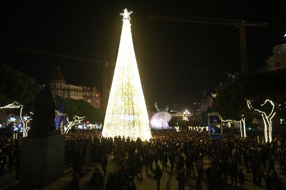 árvore de natal, avenida dos aliados, porto