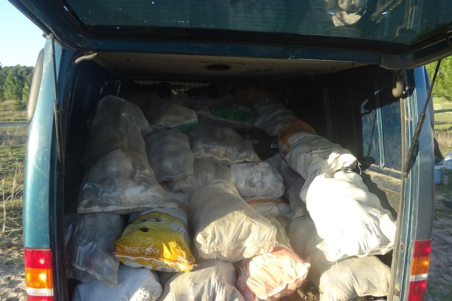 GNR apreende duas toneladas de pinhas em Grândola