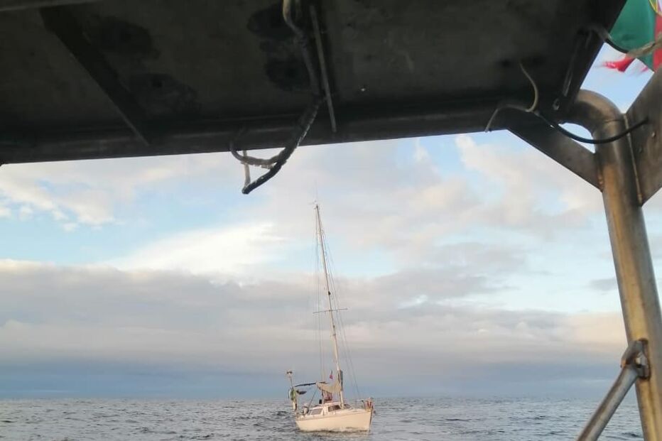 Veleiro francês foi abalroado por orcas ao largo de Sines