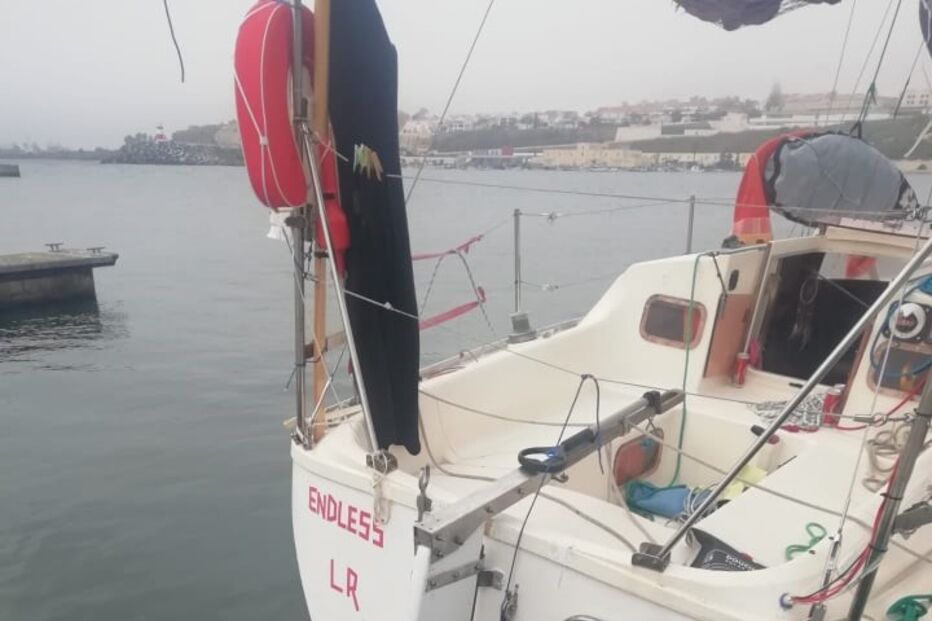 Veleiro francês foi abalroado por orcas ao largo de Sines