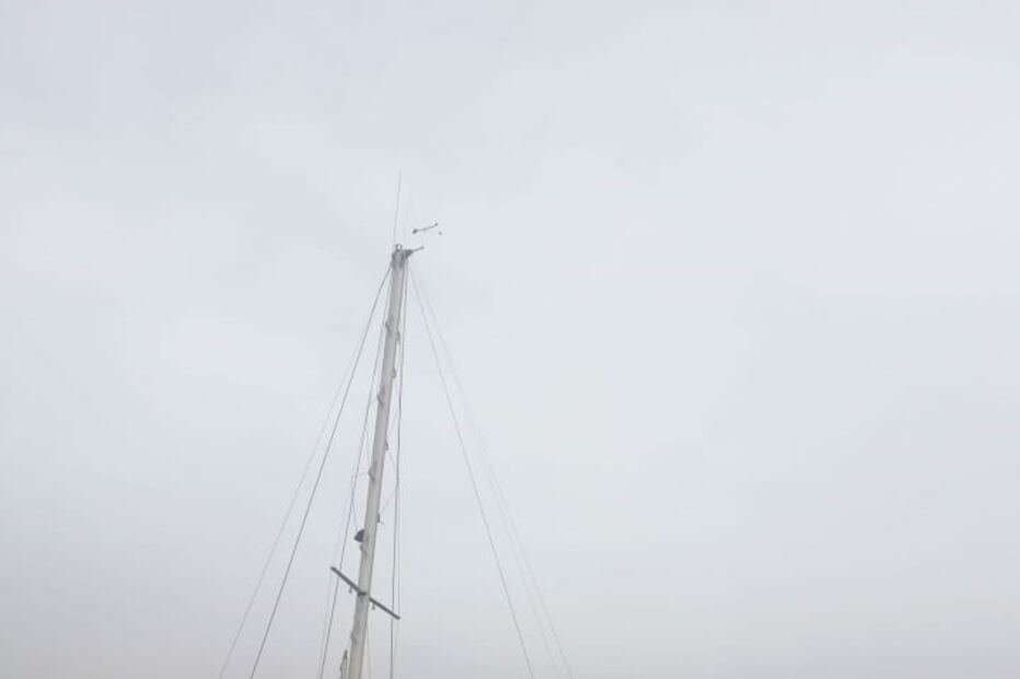 Veleiro francês foi abalroado por orcas ao largo de Sines