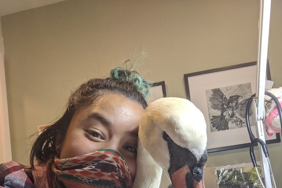 Ariel Cordova-Rojas com o cisne resgatado