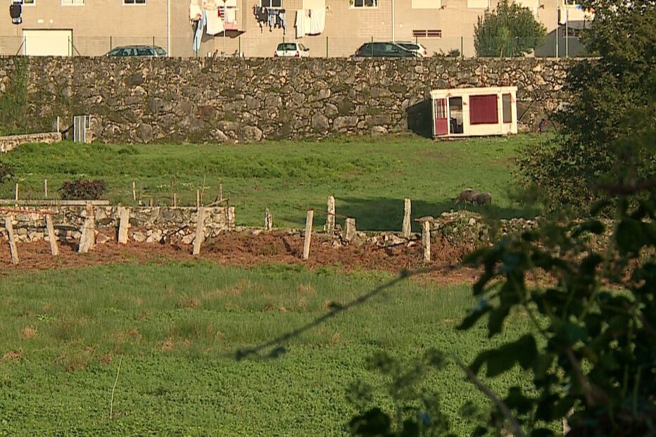 Imagem FRAME_CMTV_02.JPG (7836046) (Milenium)