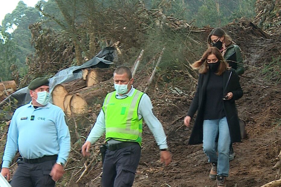 Imagem FRAME_CMTV_06.JPG (7853005) (Milenium)