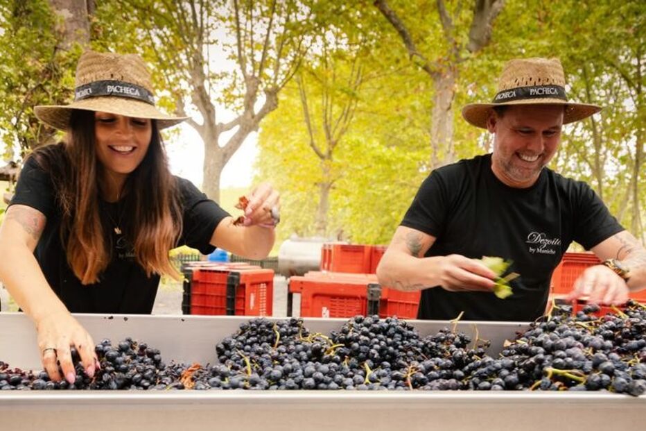 Maniche aventurou-se no mundo dos vinhos