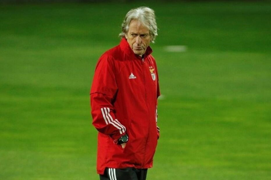 2020-11-21_18_30_05 img_920x519$2020_11_04_22_45_15_1775242.jpg