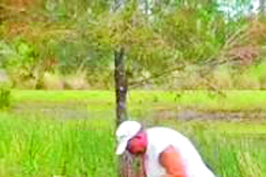 Homem resgata cão da boca de jacaré