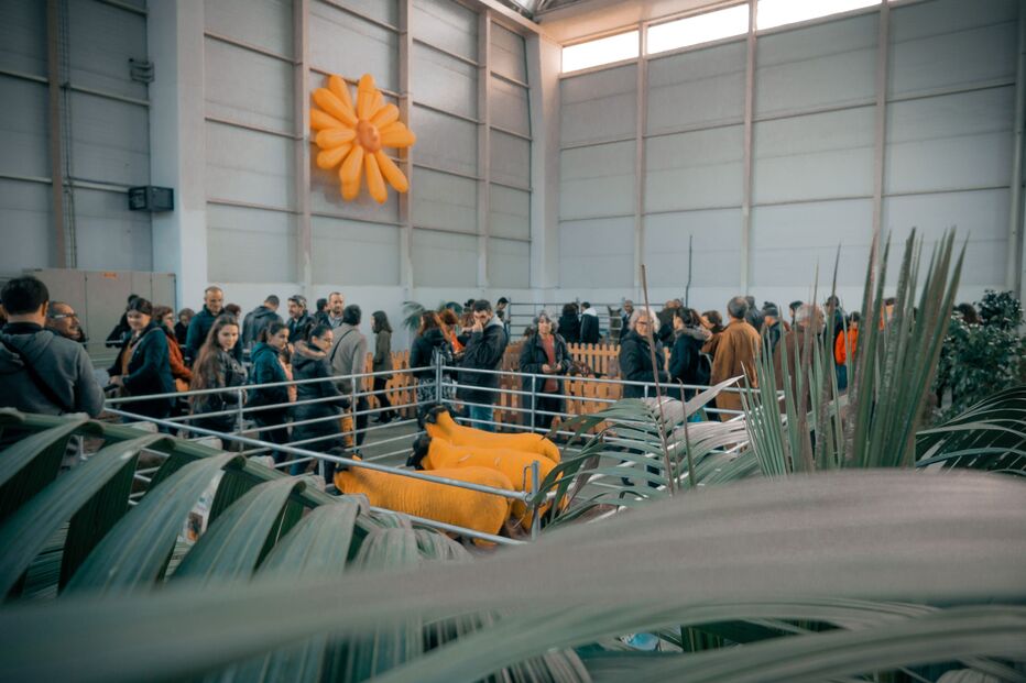 2020-11-24_19_12_48 DSC06132.jpg