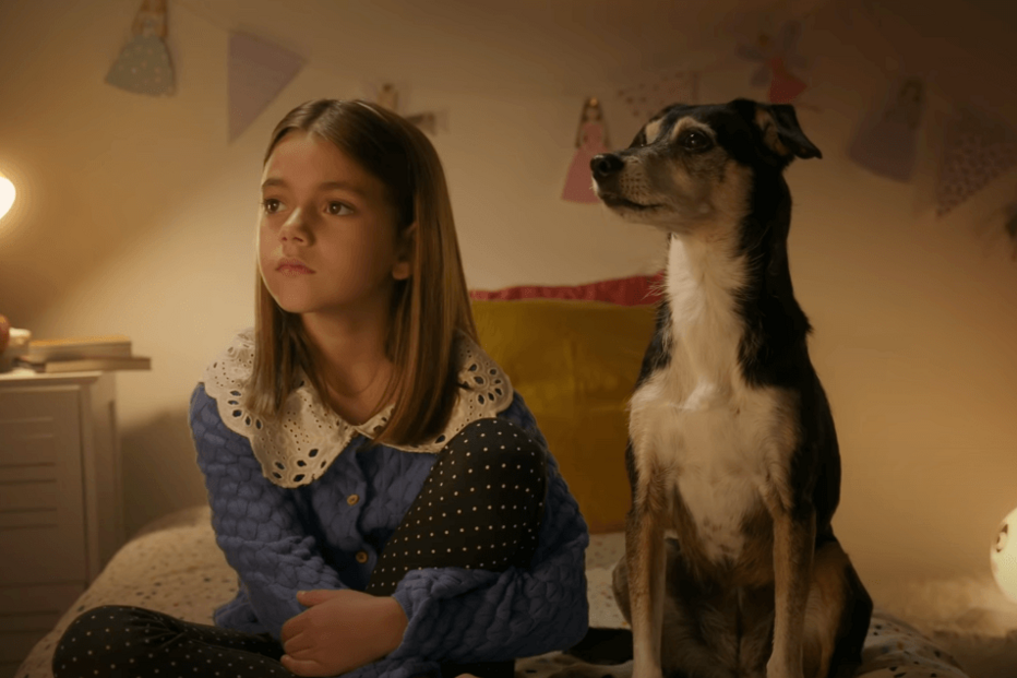 Jornal da Nova Zelândia coloca campanha de Natal portuguesa entre as melhores do ano