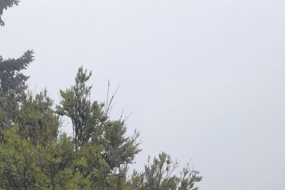 Neve pinta ilha da Madeira de branco