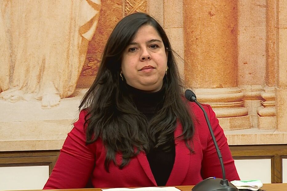 Inês Sousa Real, PAN