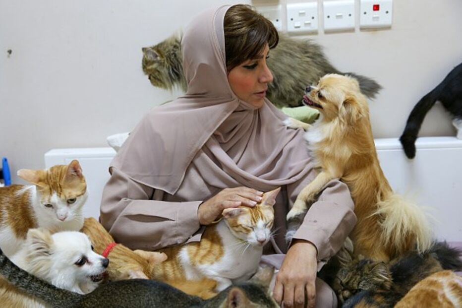 Mulher vive com 480 gatos e 12 cães