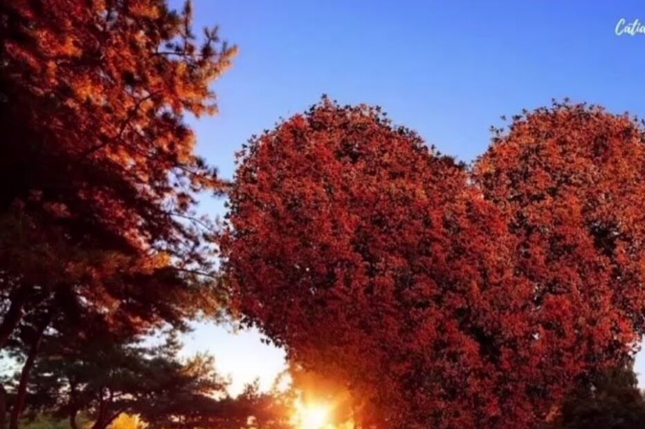 Mensagens de Daniel Souza nas redes sociais