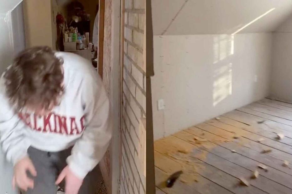 2020-11-27_17_35_12 Untitled design.jpg