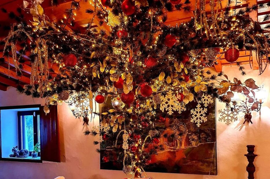 A árvore do Monte de Manuel Luís Goucha