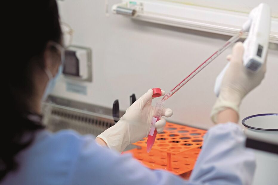 Imagem abertura b - 34775680.jpg (8023767) (Milenium)