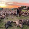 Alterações na lei da caça vão prevenir abates semelhantes aos da Torre Bela, diz ministro do Ambiente