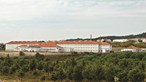 Diagnóstico de tuberculose em recluso leva a rastreio na cadeia de Sintra