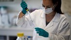 Centro de investigação de Coimbra testa 2000 fármacos contra o novo coronavírus