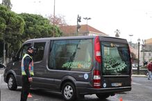 velório de Sara Carreira.JPG