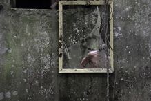 2020-12-12_21_44_12 PRESS_2021-RS#5.jpg