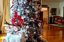 A árvore de Natal de Manuel Luís Goucha