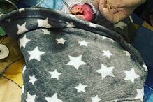 Mãe dá à luz bebé às 26 semanas de gestação em ambulância